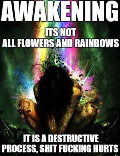 23fb22c1522d5c2f6c8f645d1ce601de