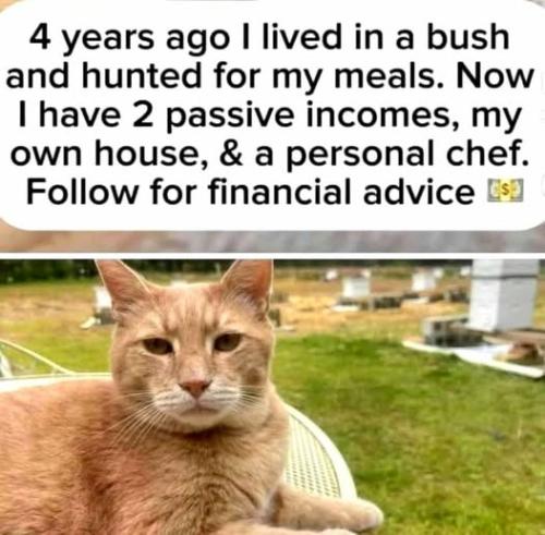 follow me for financial advice
