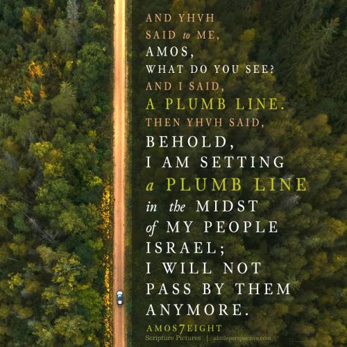 amo-7-8-NKJV-unsplash