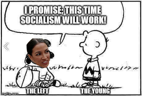 socialism will work