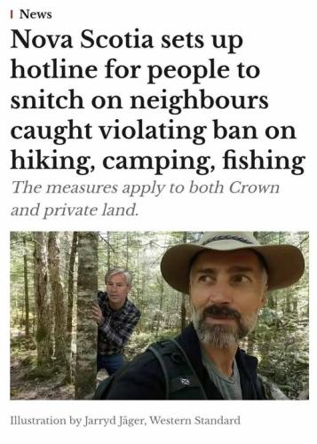 hotline for snitches