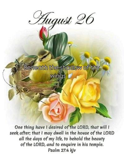 539261317_18022112516743683_4010506740712579852_n