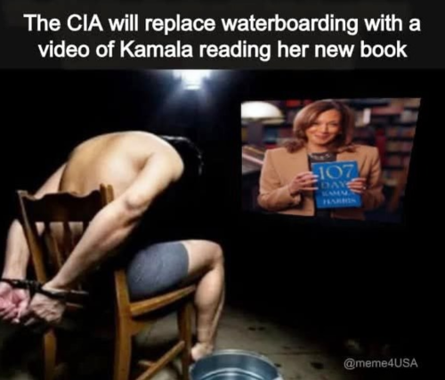 Screenshot_20250801-100719