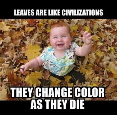 change-color-as-they-die
