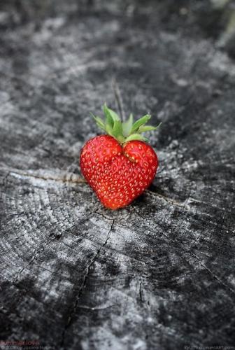 23e5eaa283f279f8ef56dd93752506da