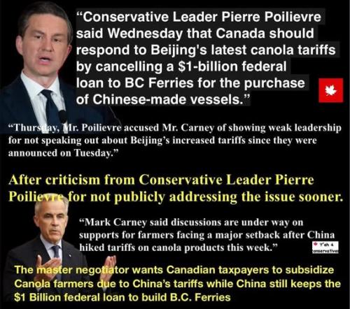 canada should respond