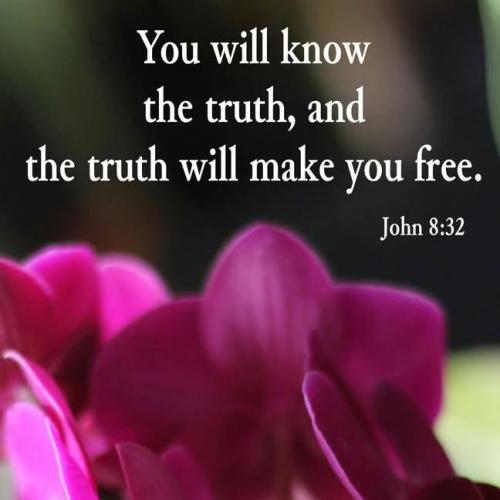 IMG_20250809_181533_492