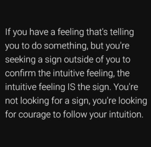 ,     ,           328625073_1312793