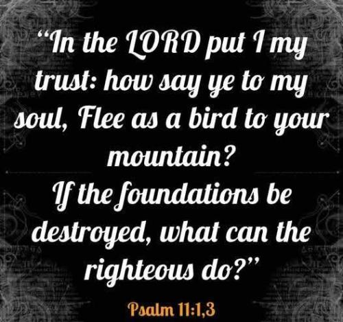 0ae5b84e-e30a-4d4a-905f-4ce42ba72787