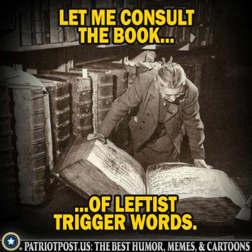 01K2SHMD914AE8SD535CBEQZWE