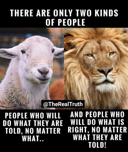 Tumblr_l_1107157738242907