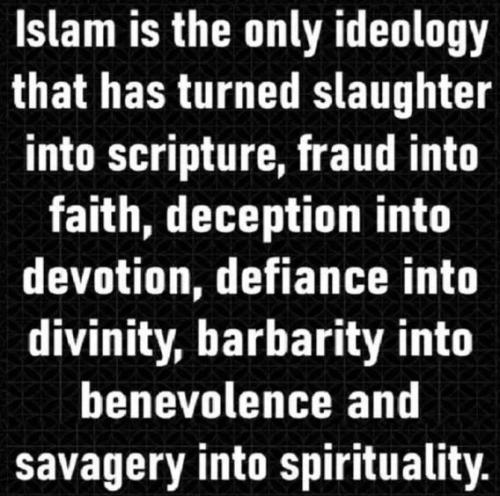 islam-ideology