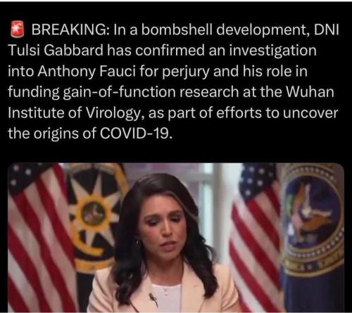 image_BE9A65A7-AF80-4BDA-857F-063C8142354A