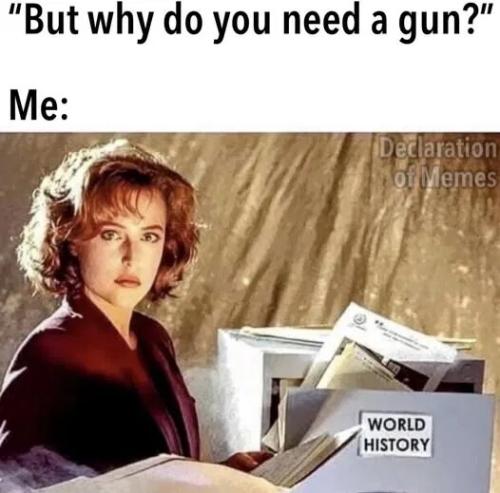why-need-a-gun