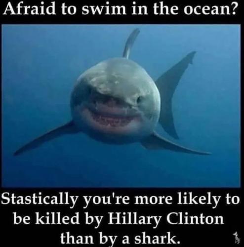 FB_IMG_1755629746813