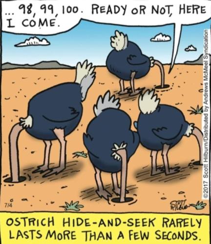 Screenshot_20250806_141500_Gallery