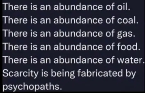 image_2025-08-11_065859239