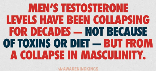 Screenshot 2025-08-02 120602