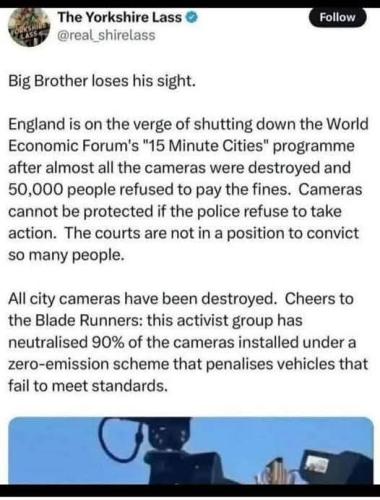 big brother