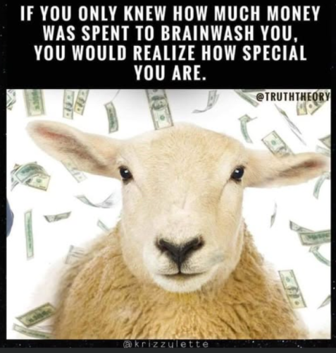 Screenshot 2025-07-31 141838