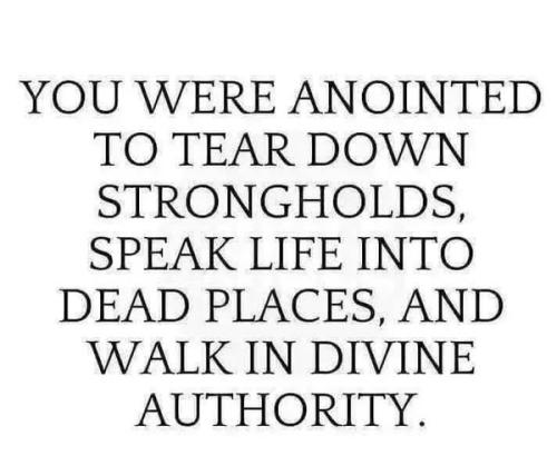 536109483_776671908582337_8434723147309695166_n