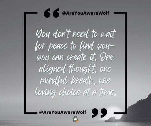 527989565_1193683069464813_196546206223755431_n