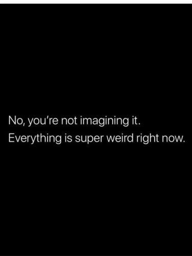531230953_768658402717021_8689746580337603972_n