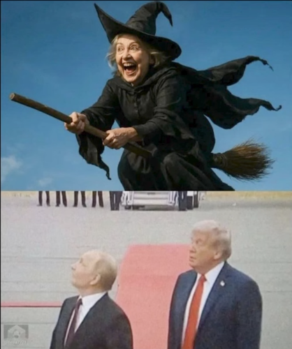 image_B0D22ACD-8D89-4C77-BCCC-1DEB4A752CE7