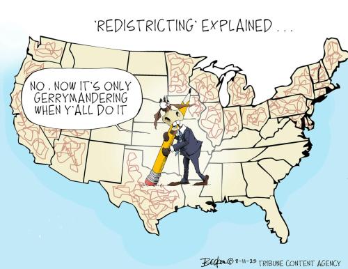 GERRYINGMANDERING CARTOON