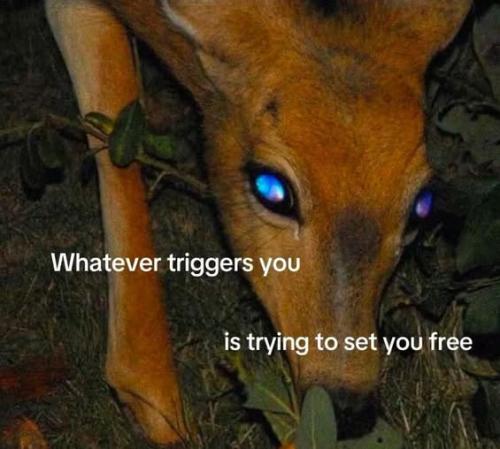 531513700_10172369985980344_7722111876687627560_n