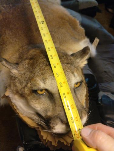 IMG_20250827_155251089