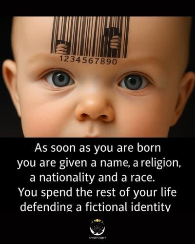 515504651_1102812738381447_6873688869673216955_n