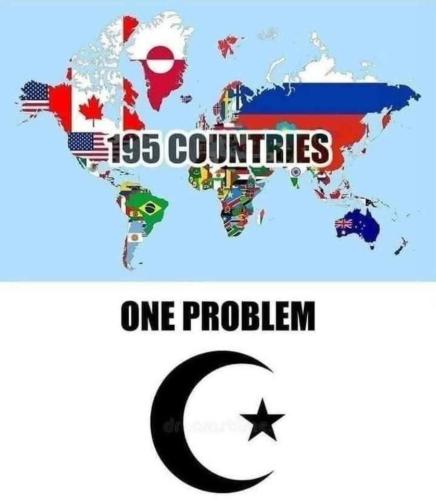 IMG_20250803_164408_306