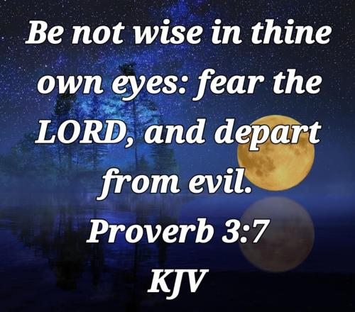 3a5a19ae-8fe3-471a-a585-a8f0869dd7d1