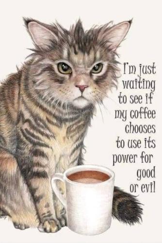 536272664_1434911601113992_420021117963634330_n