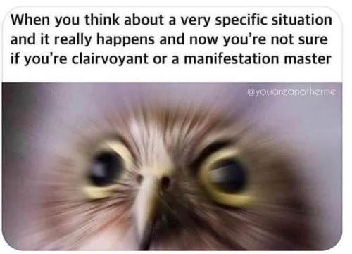 529374475_745943201477089_7463932204379865419_n