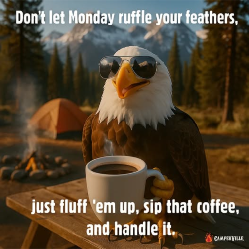 Screenshot 2025-08-11 154249