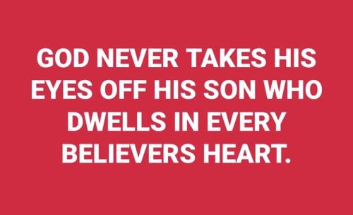 458297ed-2bb4-4a77-975d-35676ec8bc8f