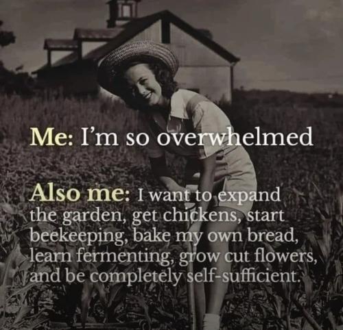 b1b7f01d8b2a5bae9d501cb878bd7934