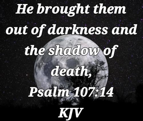 bfd3f783-1dad-43ba-b4d5-284d8f8dff27