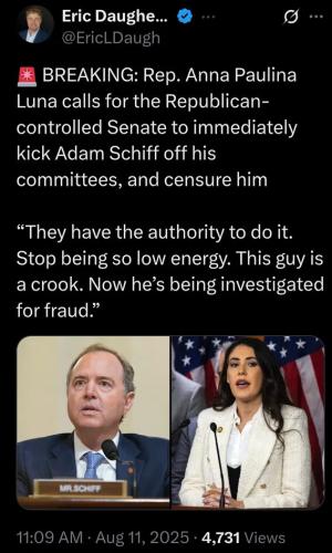 kick-schiff-off-cmtes