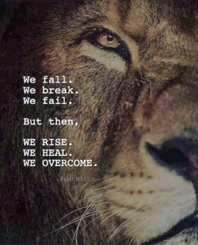 a5ba9306341023034525652dedcf6c4d