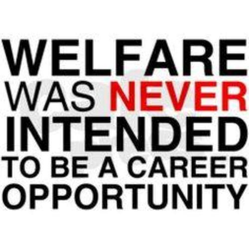 Welfare 2