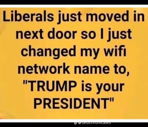 91303BE5-1598-4027-BF91-4A4BD461491D