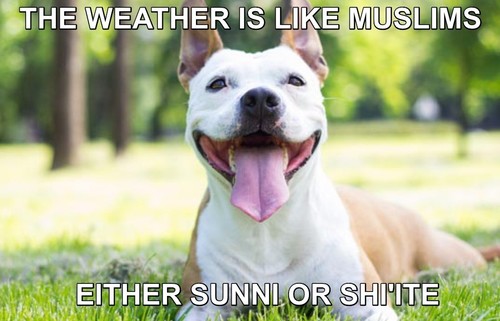 weather like muslims