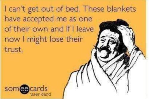 Screenshot_20250819_094742_Gallery