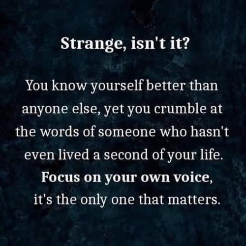 482223058_10160460139016152_9060686504100527841_n