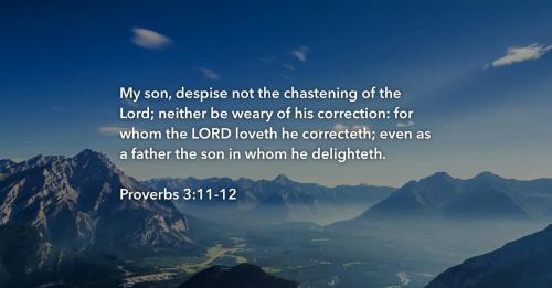 14095587076734342786