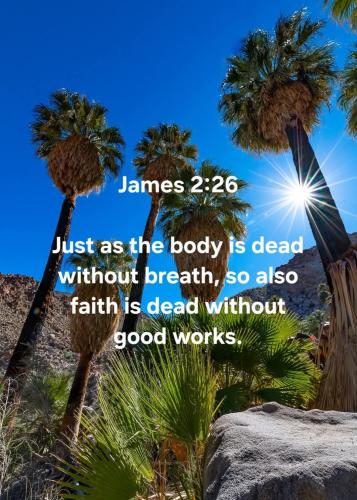 522633983_23883429494663003_7514918282671177011_n