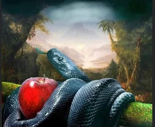 e683d6f8-c02e-48f8-806b-e73f3f19934b